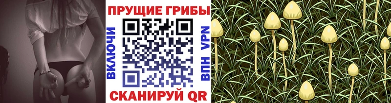 Псилоцибиновые грибы MAGIC MUSHROOMS  Выкса 